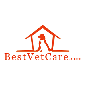 BestVetCare