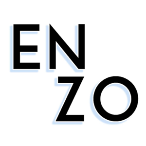 Enzo logo