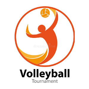 Volleyball District logo